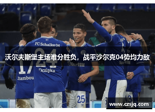 沃尔夫斯堡主场难分胜负，战平沙尔克04势均力敌