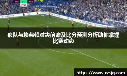 狼队与埃弗顿对决前瞻及比分预测分析助你掌握比赛动态